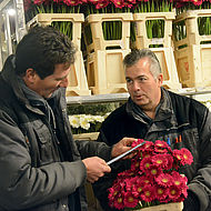 Quality Control cut flowers