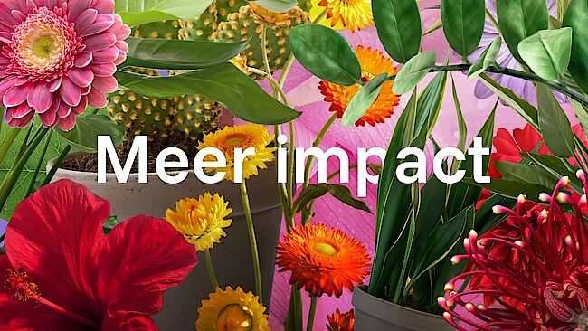 Blumenbüro Holland wird zur Plants & Flowers Foundation Holland