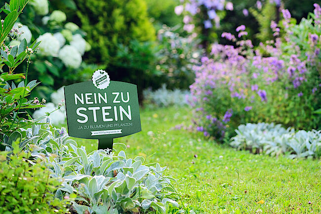 1000 gute Gründe: „Nein zu Stein“ – Jetzt mitmachen!